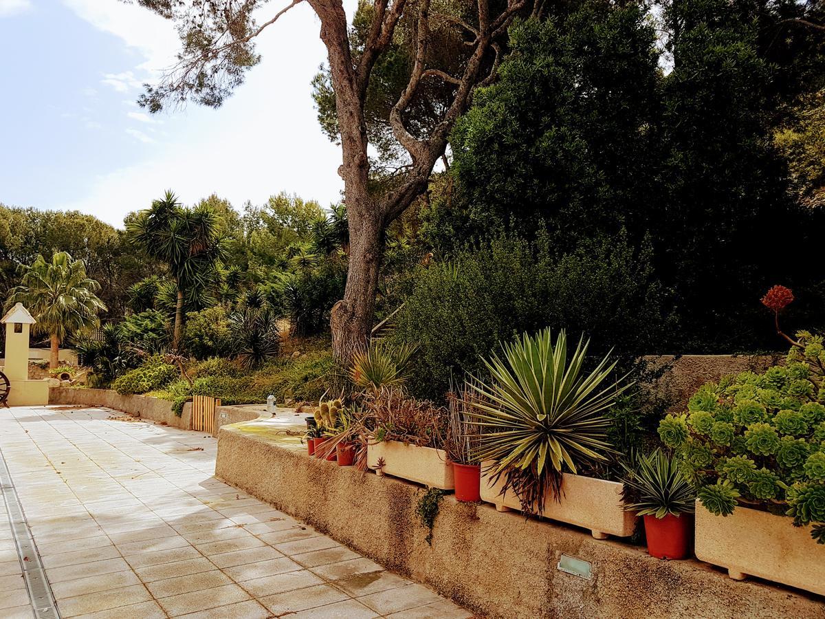 El Collado Villa Cullera Dış mekan fotoğraf